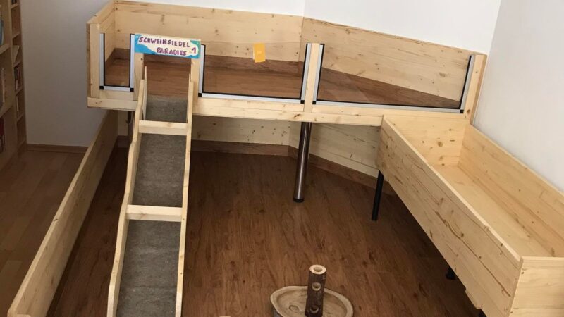 278713555_351956953630244_4733888801932344667_n