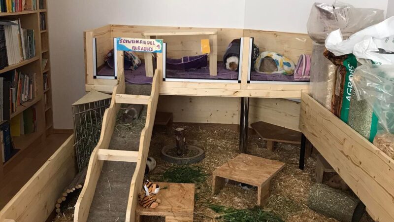 278717617_713883119803094_5353684630437260422_n