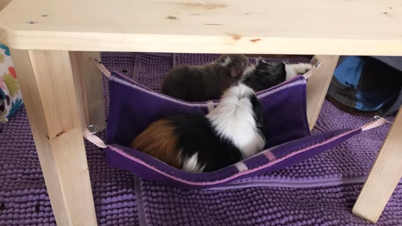 279089604_10225617363719686_7127126632714561730_n