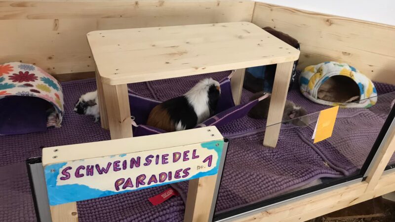 279110870_10225617363919691_5193918848553628587_n