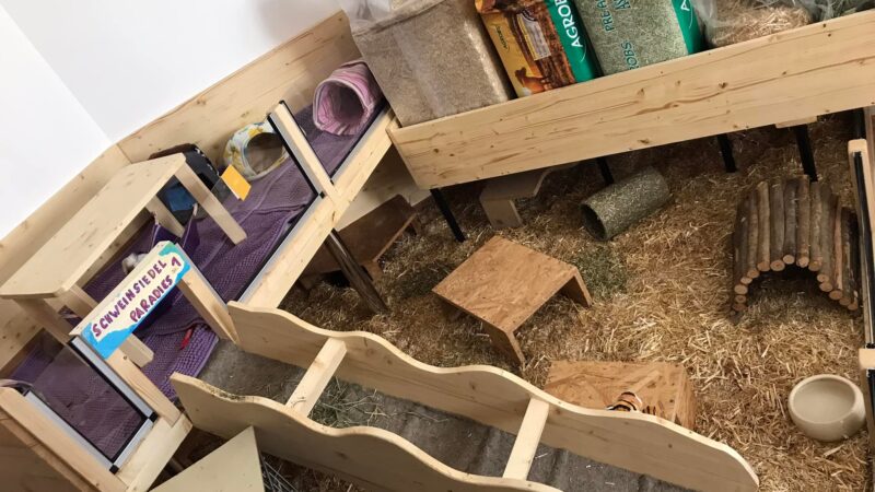 279152148_10225617364159697_4596076014679152675_n